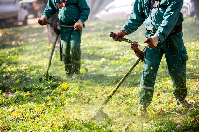 Two landscape workers are actively trimming grass and vegetation in a park, creating a neat and well-maintained outdoor space on a sunny day